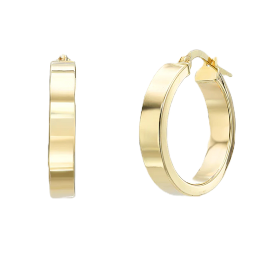 Classic Hoops Earrings in Gold 1